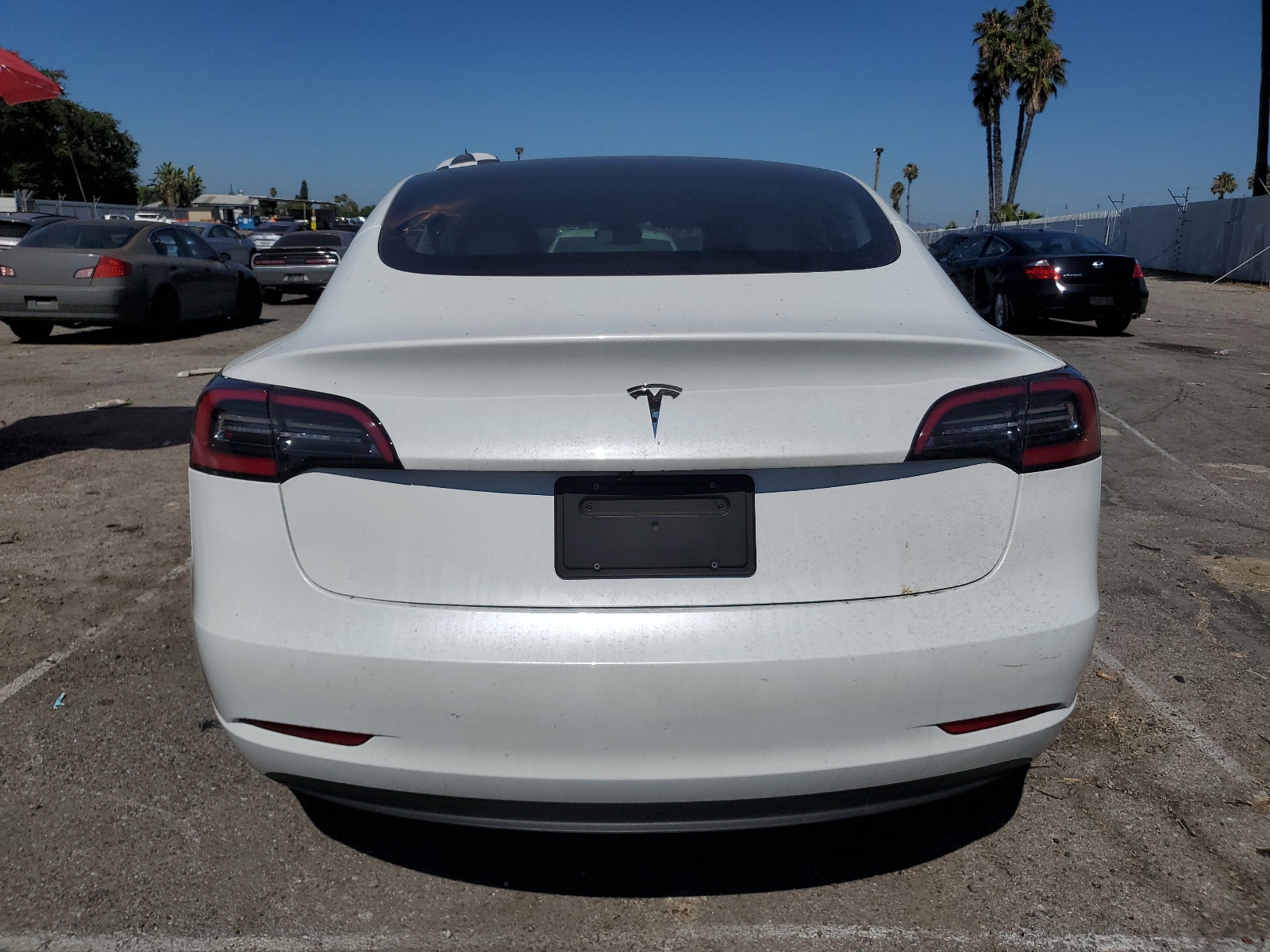 5YJ3E1EA9PF497244 2023 Tesla Model 3