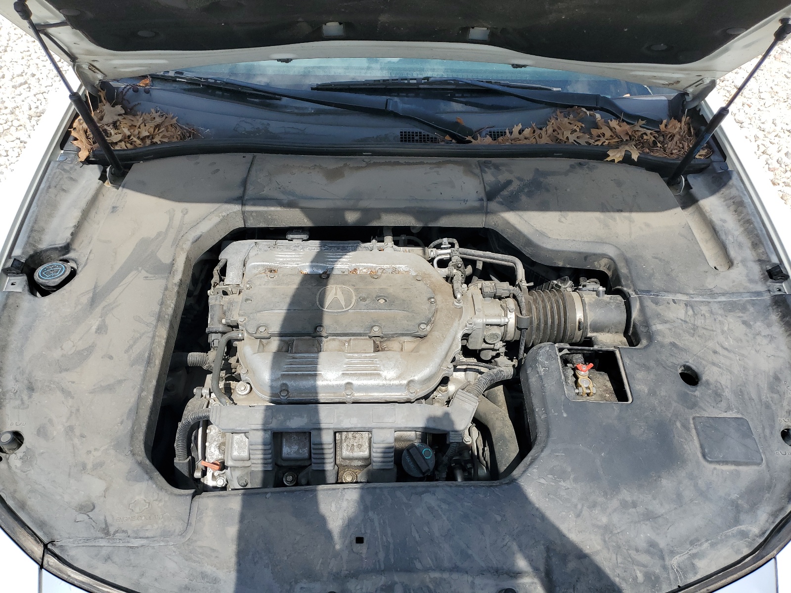 19UUA86239A021794 2009 Acura Tl