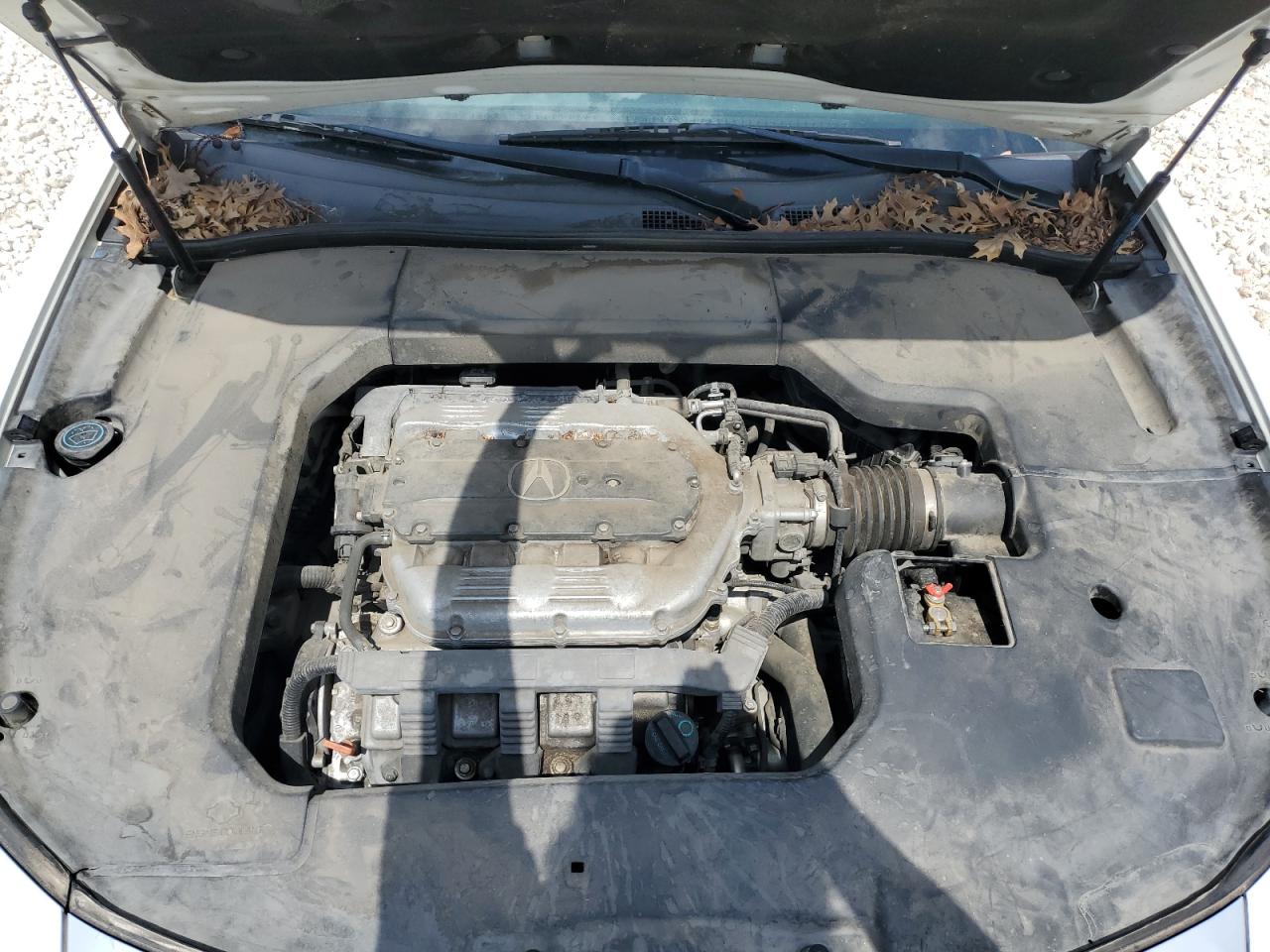 2009 Acura Tl VIN: 19UUA86239A021794 Lot: 62693304