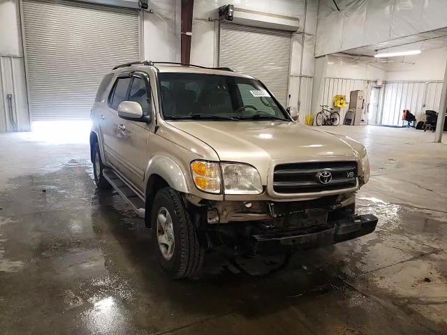 2002 Toyota Sequoia Sr5 VIN: 5TDBT44A12S062128 Lot: 63022524