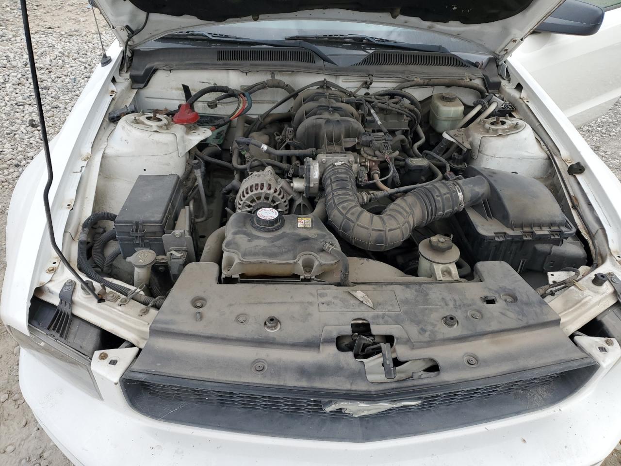 2006 Ford Mustang VIN: 1ZVFT80N765175933 Lot: 64958294