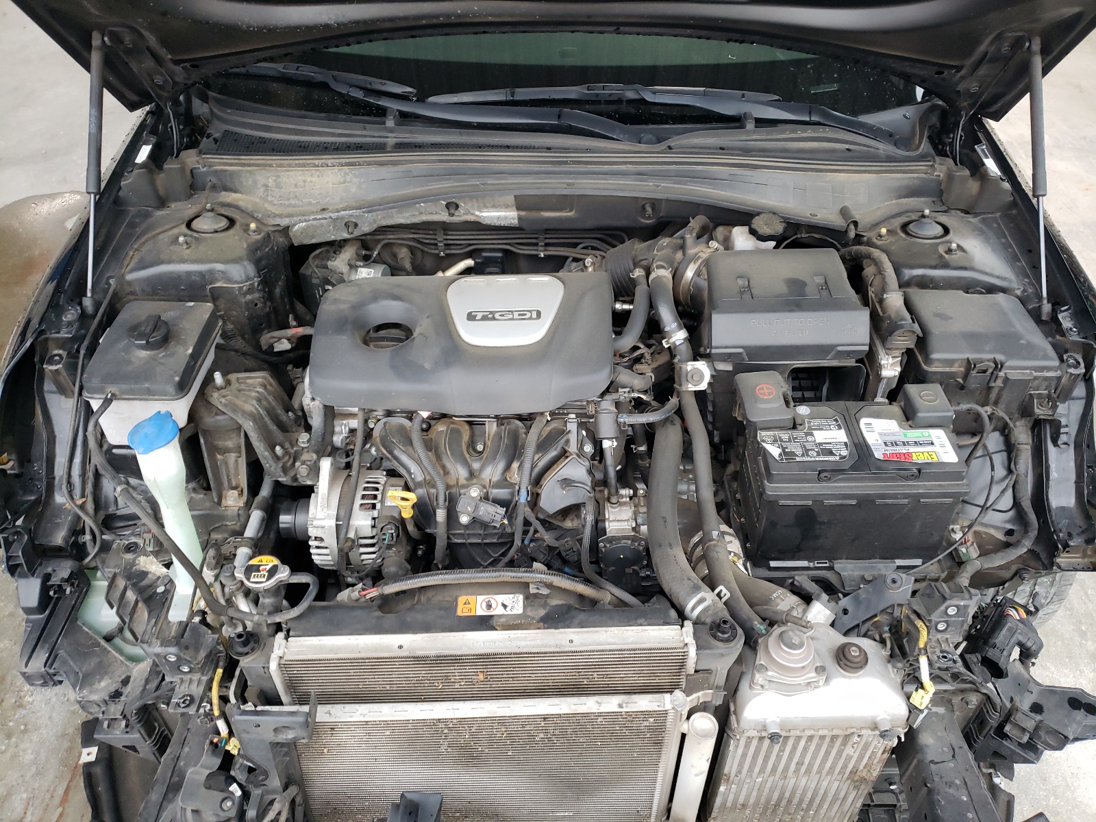 5XXGU4L15KG303131 2019 Kia Optima Ex