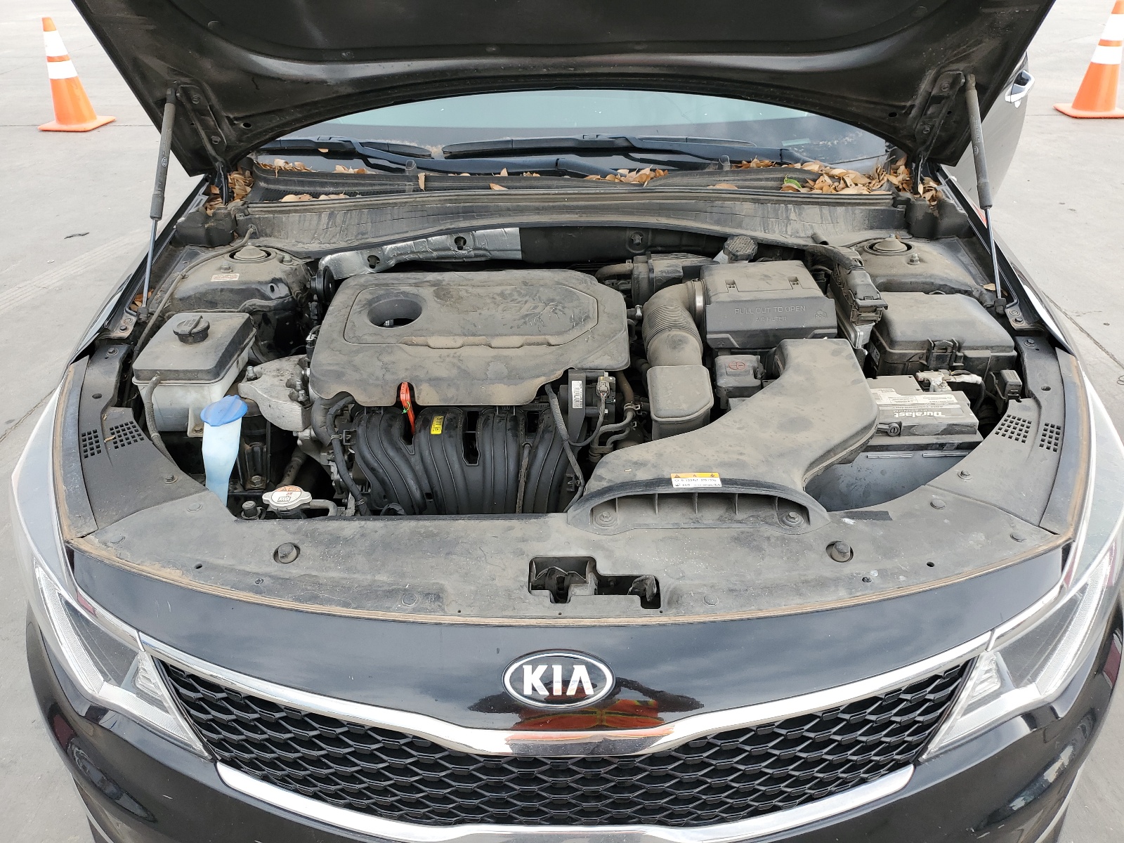KNAGT4L33H5155723 2017 Kia Optima Lx