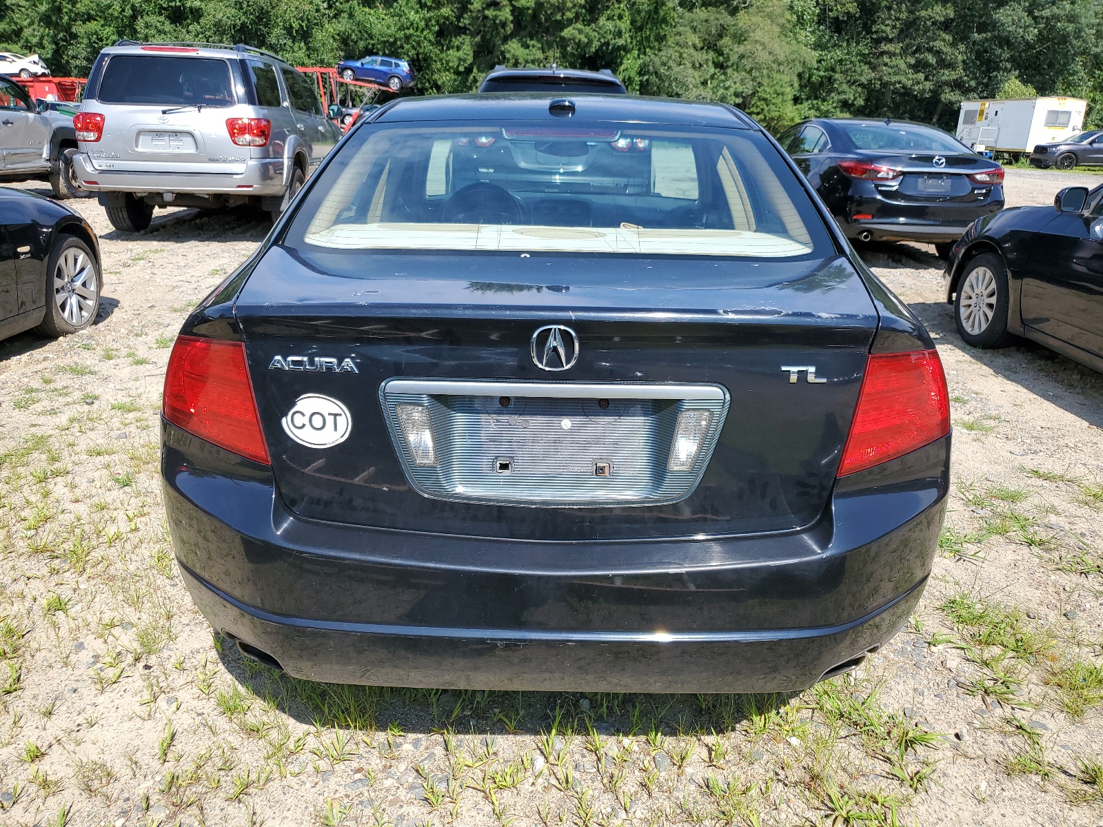 19UUA66265A010741 2005 Acura Tl