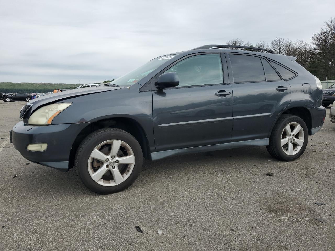 2004 Lexus Rx 330 VIN: 2T2HA31U14C029548 Lot: 62429914