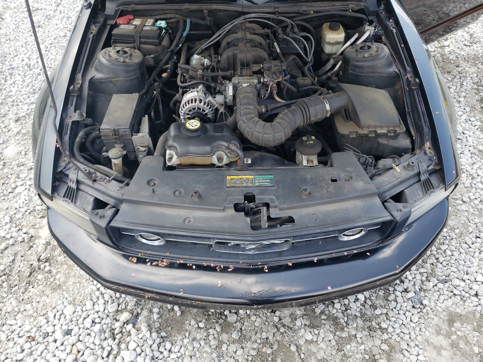 1ZVFT80N675351453 2007 Ford Mustang