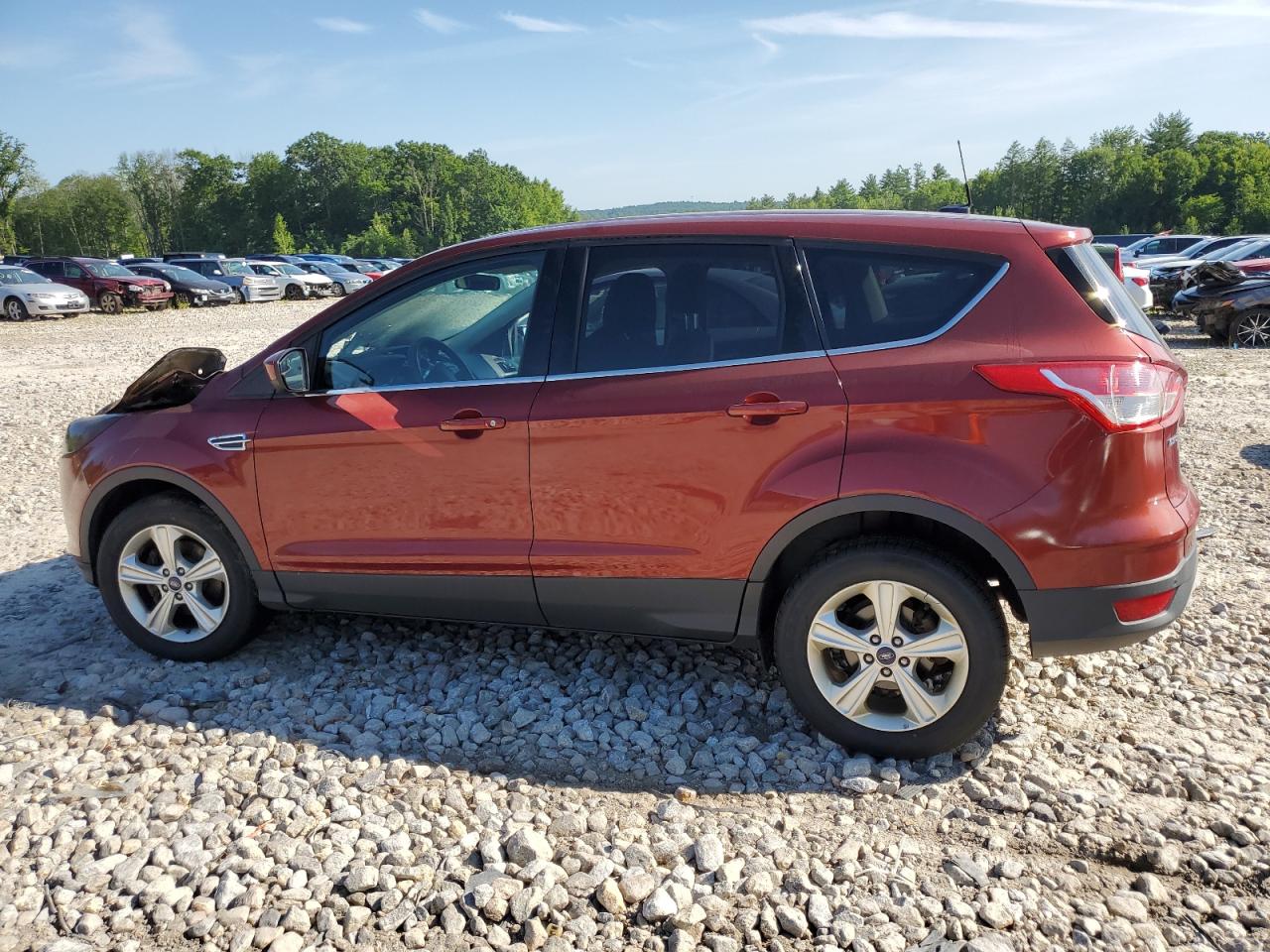 2014 Ford Escape - Image 2