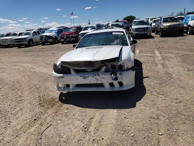 2001 Ford Mustang VIN: 1FAFP40431F256850 Lot: 61715244