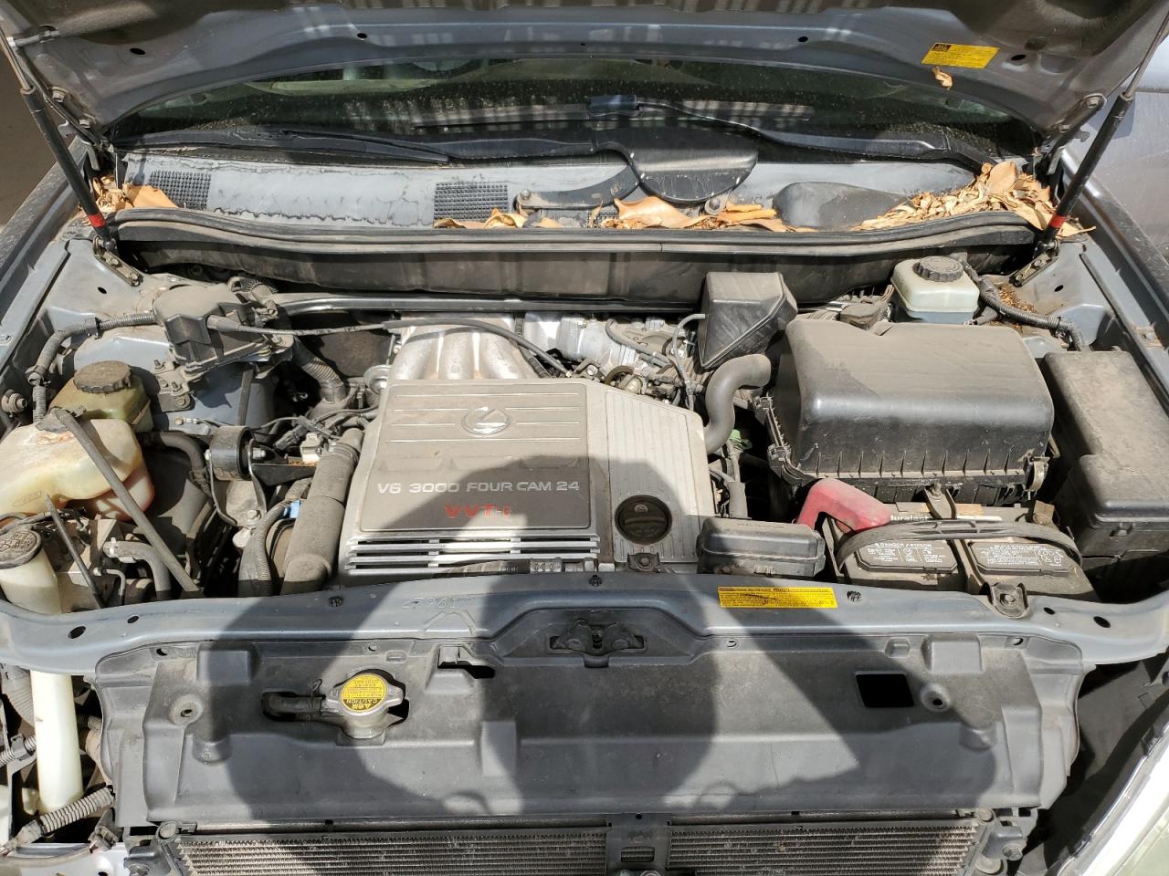 2001 Lexus Rx 300 VIN: JTJGF10U810103316 Lot: 62006514