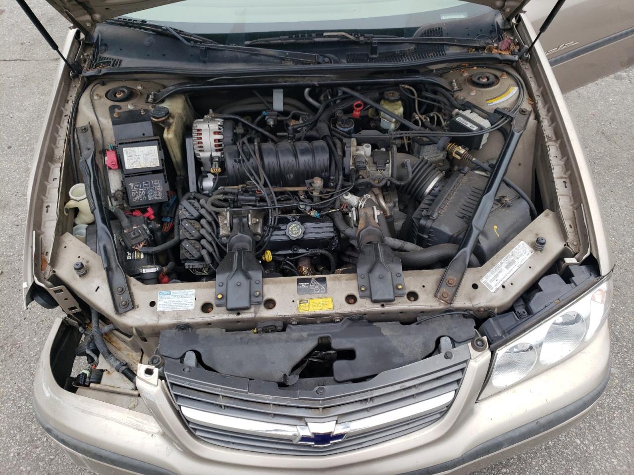 2001 Chevrolet Impala Ls VIN: 2G1WH55K819130926 Lot: 62691204