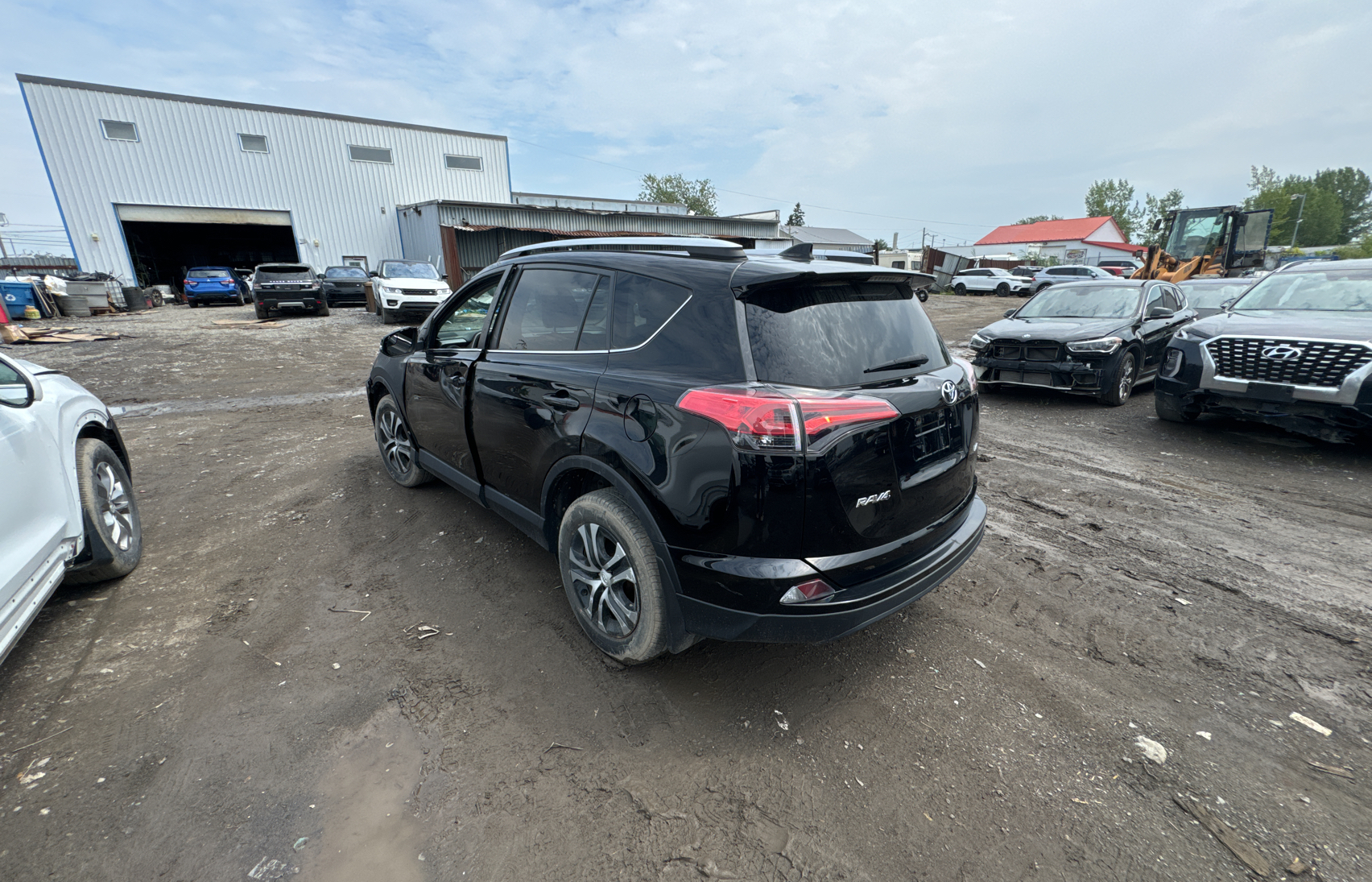 2016 Toyota Rav4 Le vin: 2T3ZFREV7GW243504