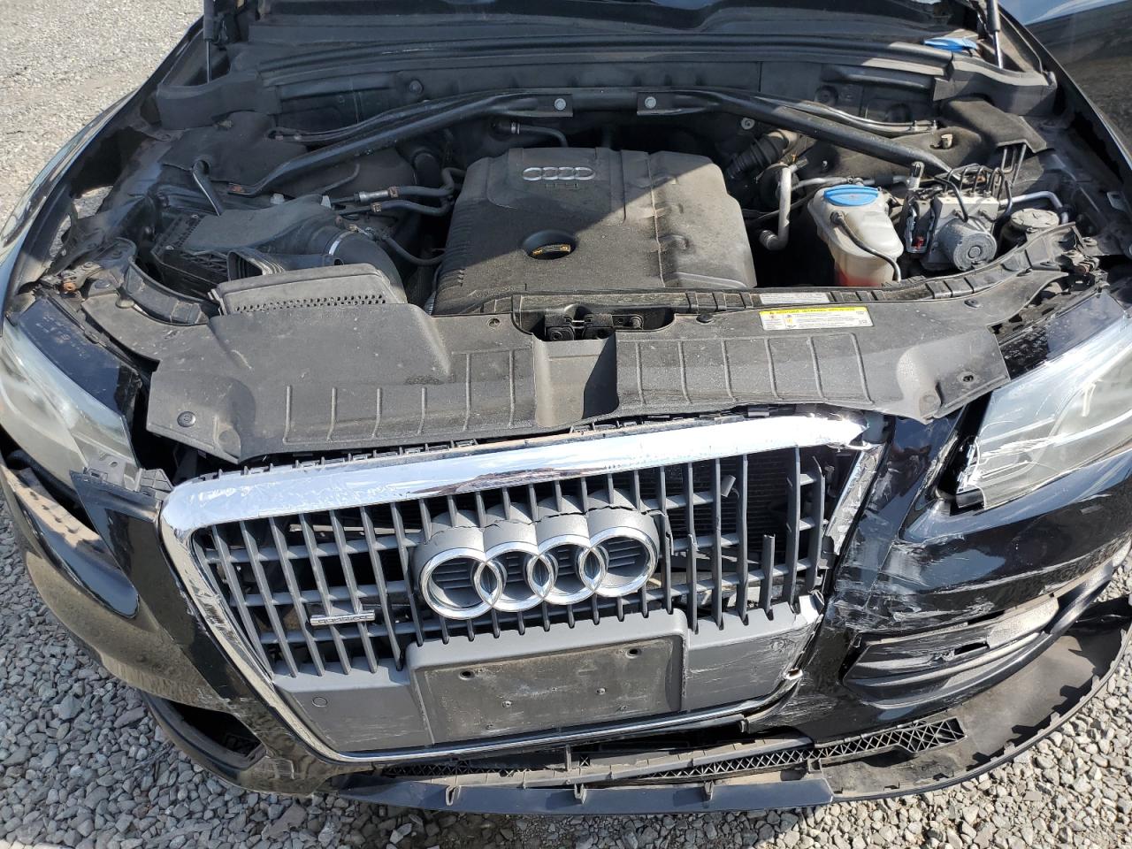 2012 Audi Q5 Premium Plus VIN: WA1LFAFP1CA123174 Lot: 61663964