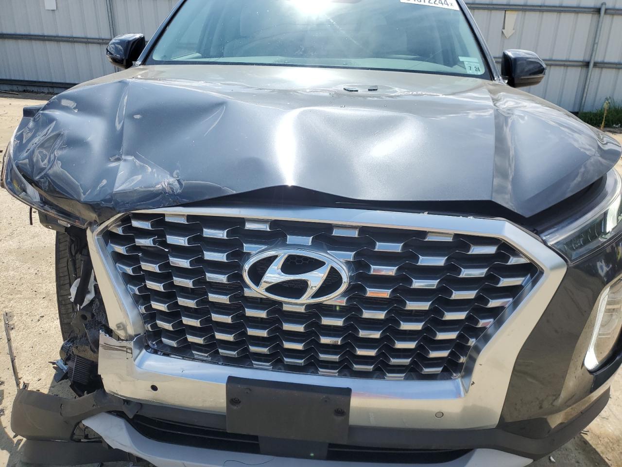 2020 Hyundai Palisade Sel VIN: KM8R4DHE7LU038983 Lot: 64872244