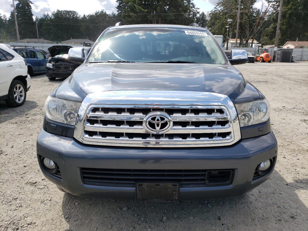 2010 Toyota Sequoia Platinum VIN: 5TDDY5G15AS025982 Lot: 64889644