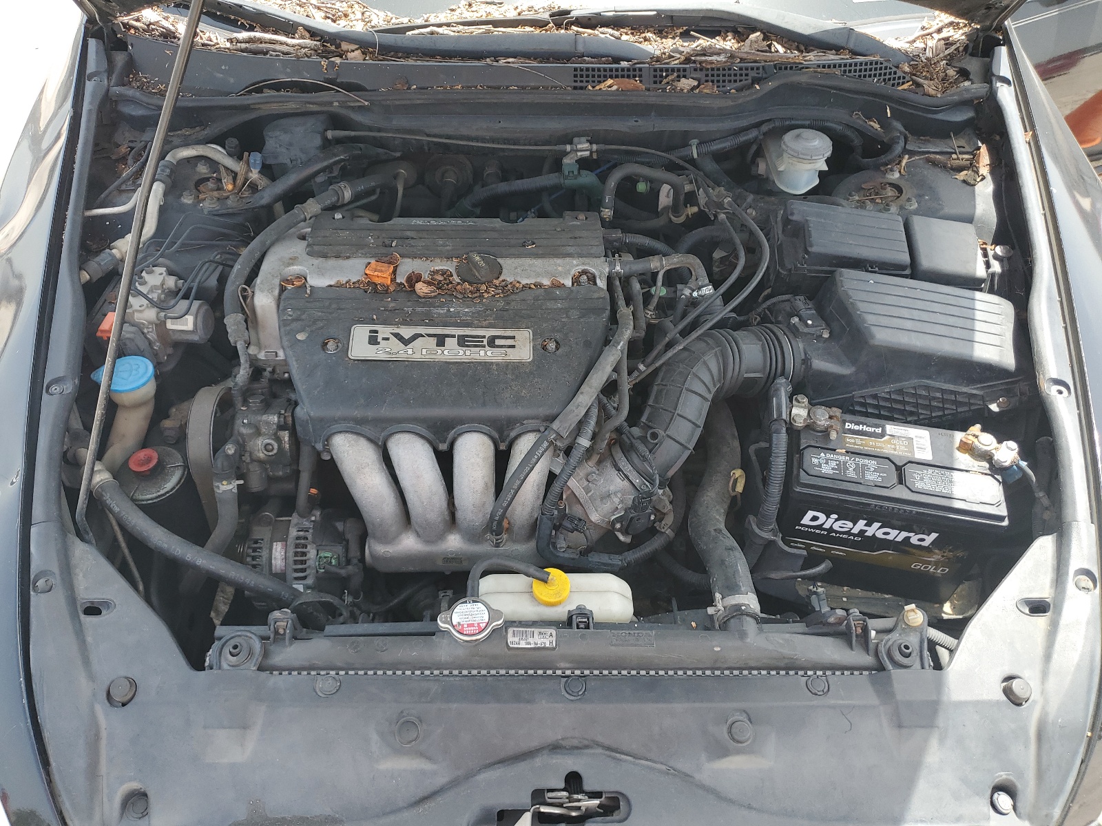 1HGCM56344A141557 2004 Honda Accord Lx