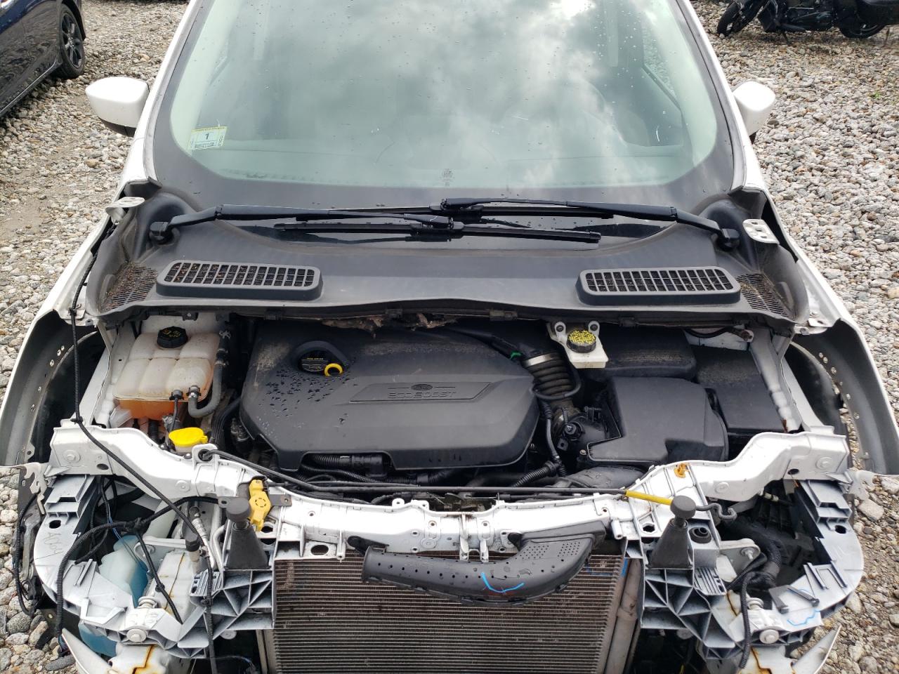 2014 Ford Escape Se VIN: 1FMCU9GX7EUA49619 Lot: 64857454