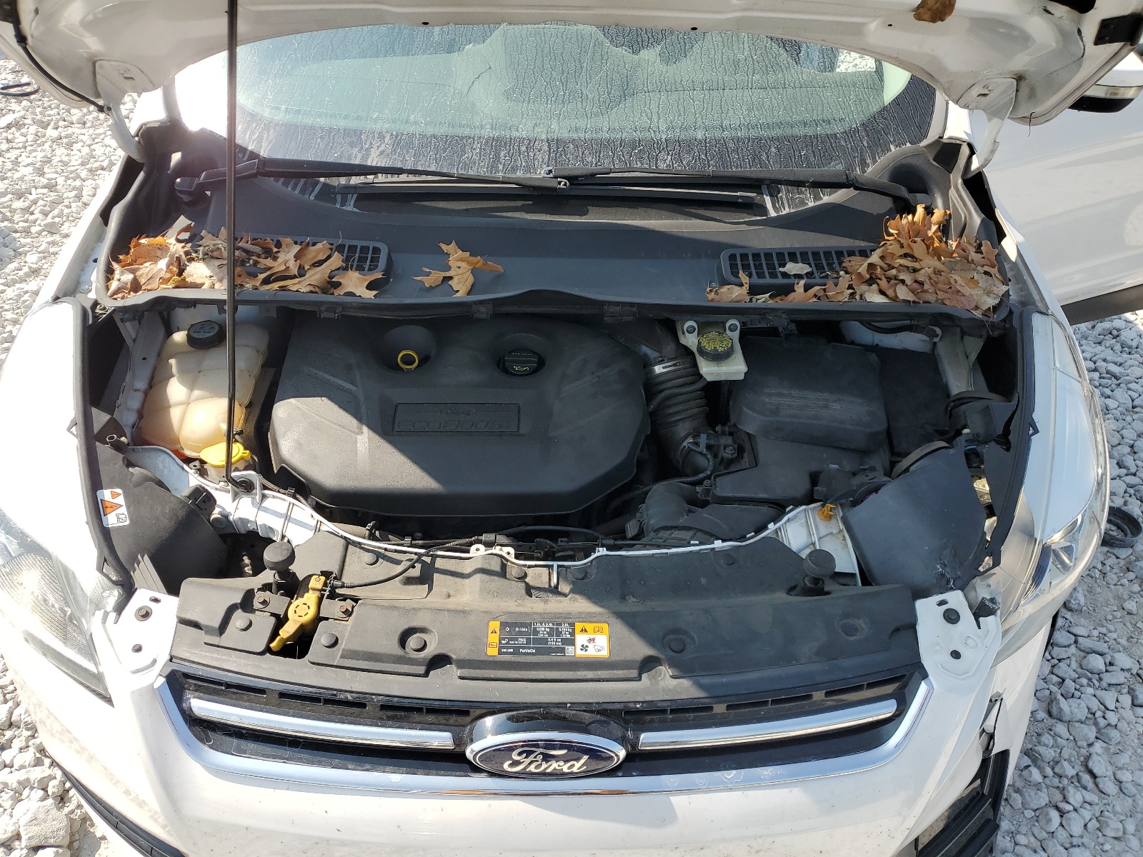 1FMCU9J90DUD09514 2013 Ford Escape Titanium