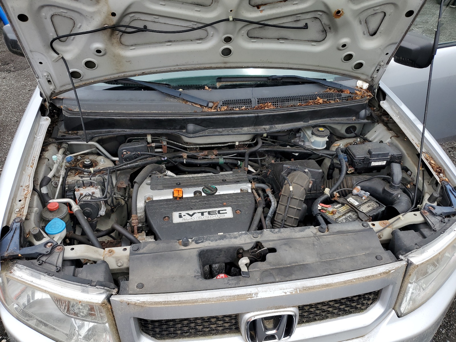 5J6YH28719L004962 2009 Honda Element Ex