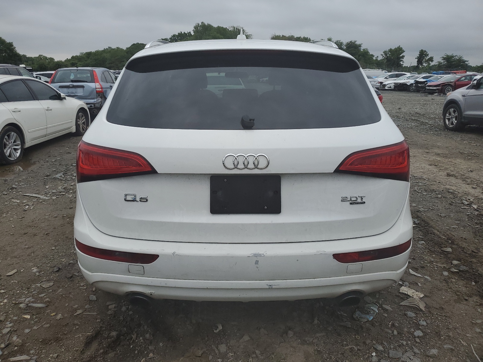 2013 Audi Q5 Premium vin: WA1CFAFP8DA042738