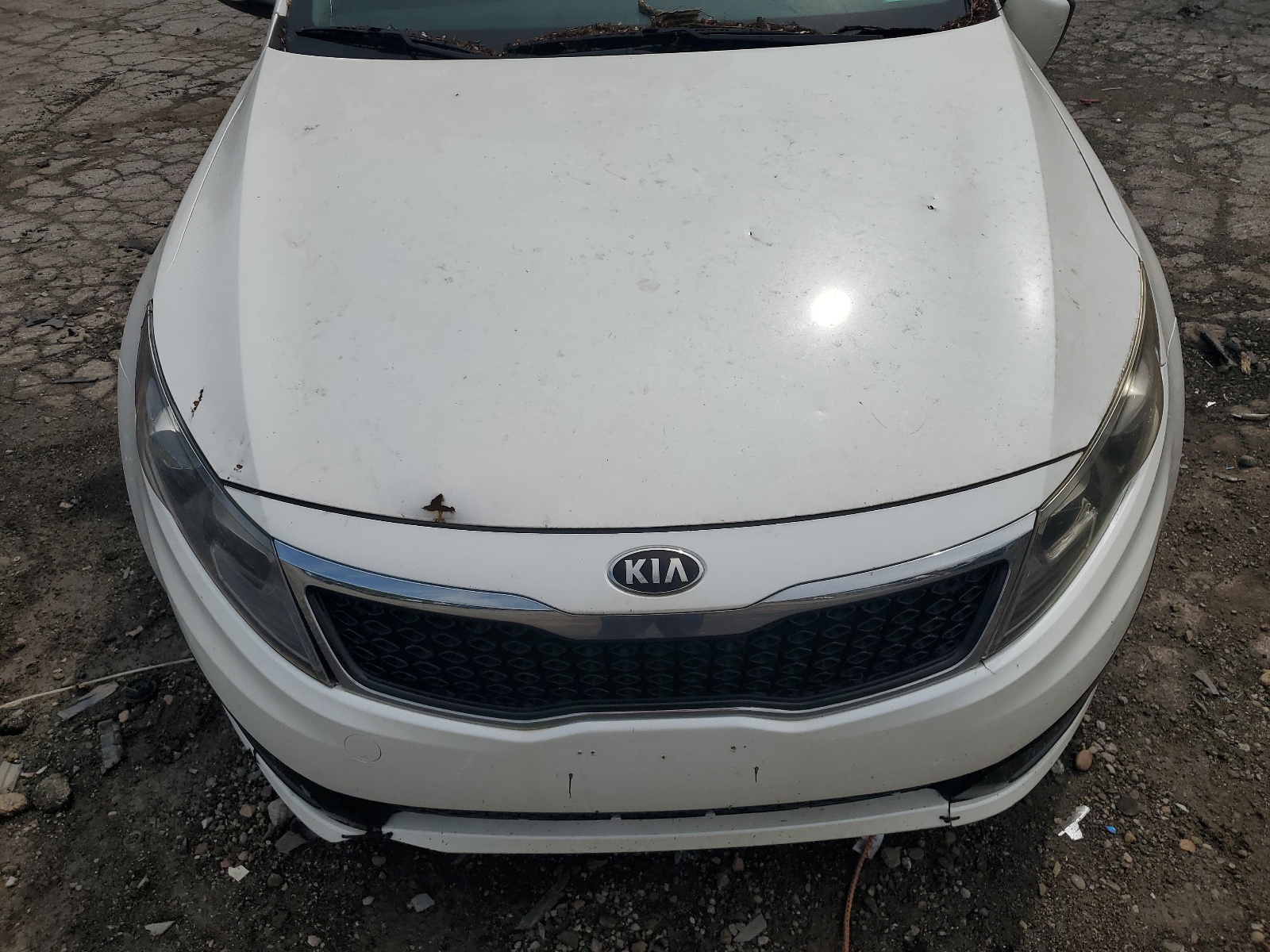 2013 Kia Optima Lx vin: KNAGM4A71D5351527