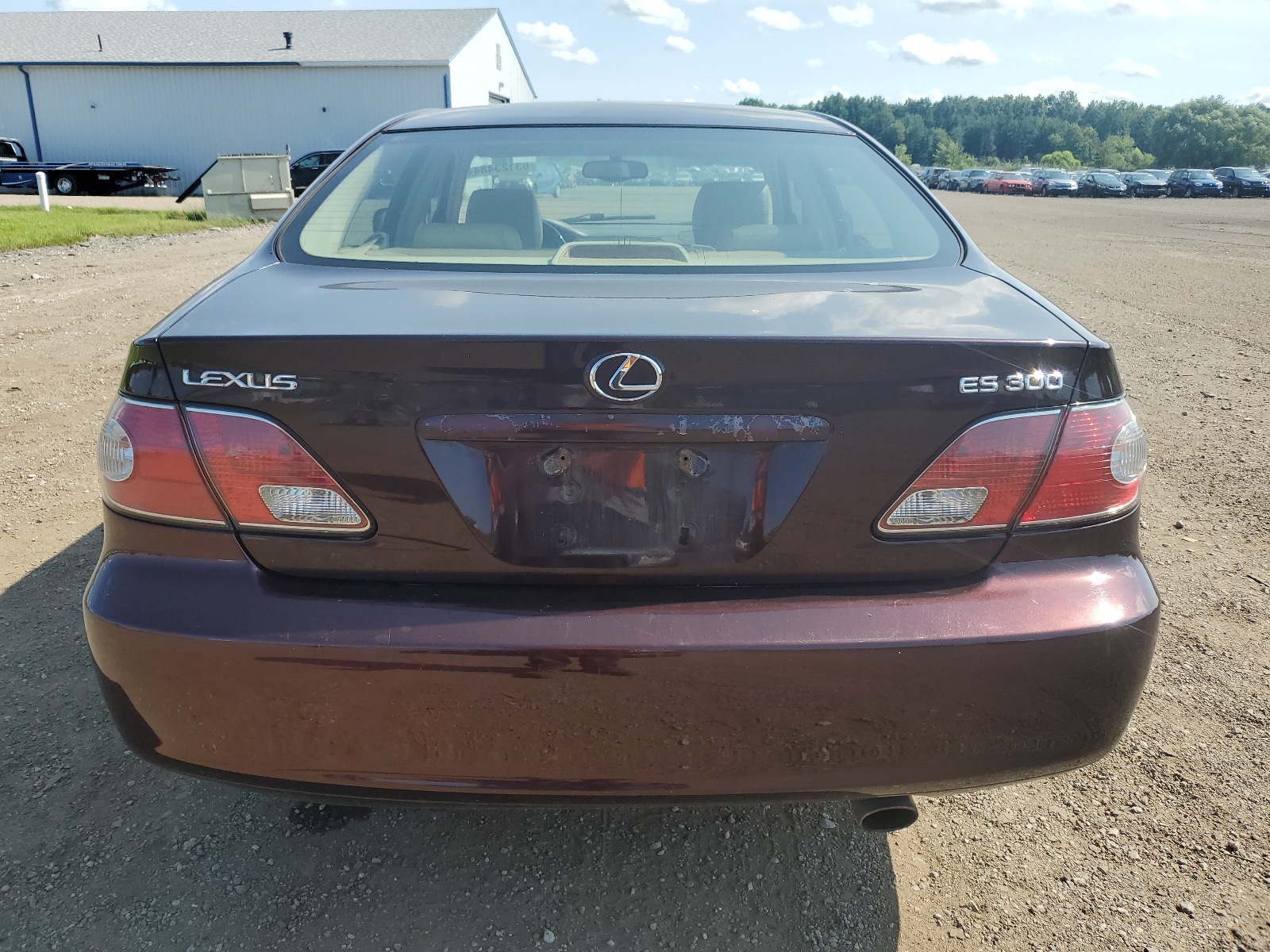 JTHBF30G530144667 2003 Lexus Es 300