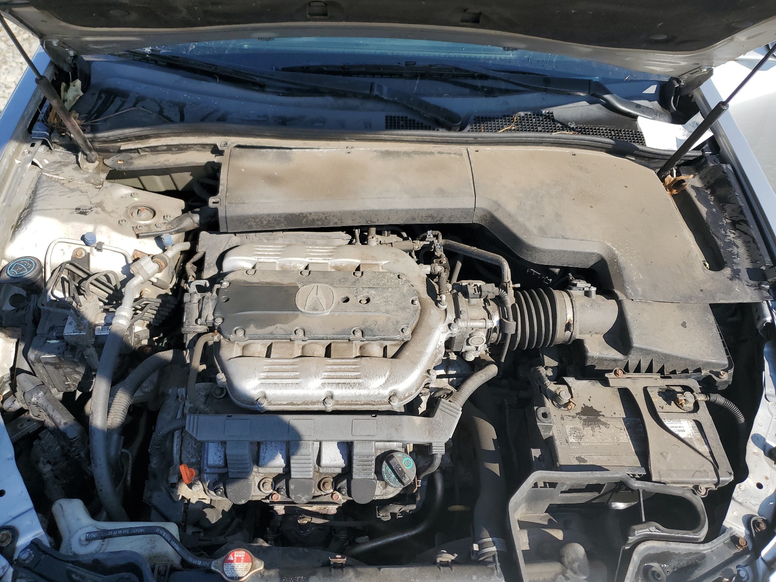 19UUA8F20BA007194 2011 Acura Tl