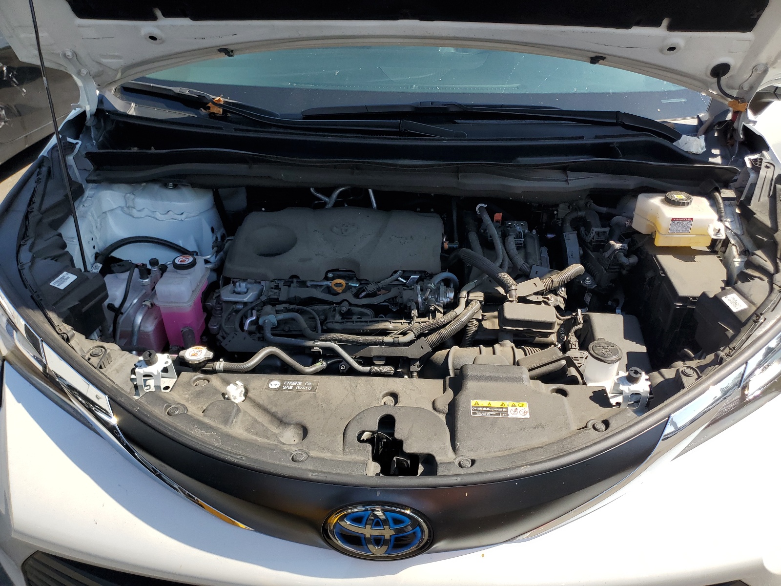 5TDYRKEC1PS139469 2023 Toyota Sienna Xle