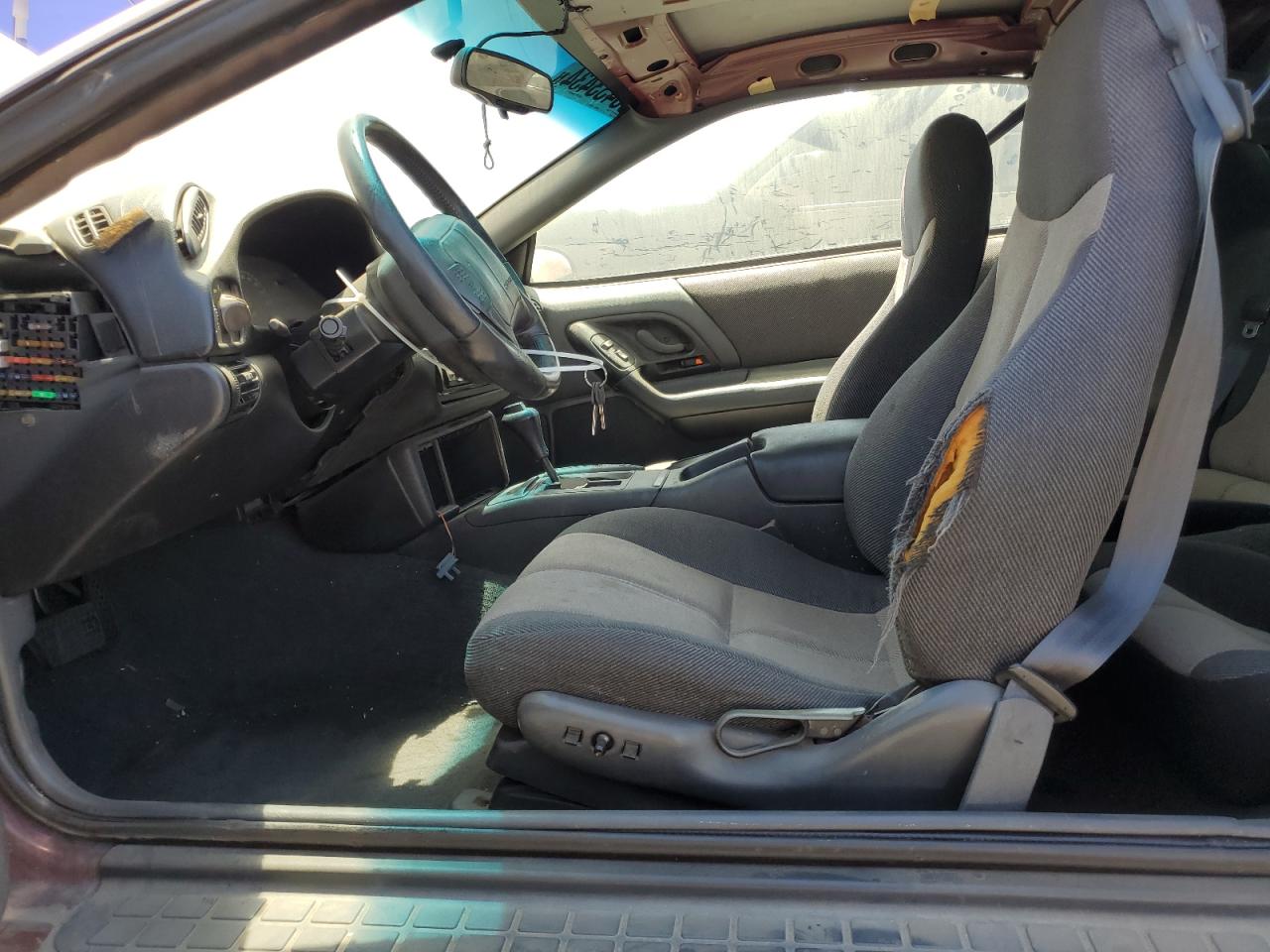 1993 Chevrolet Camaro Z28 VIN: 2G1FP22P5P2103556 Lot: 65433434