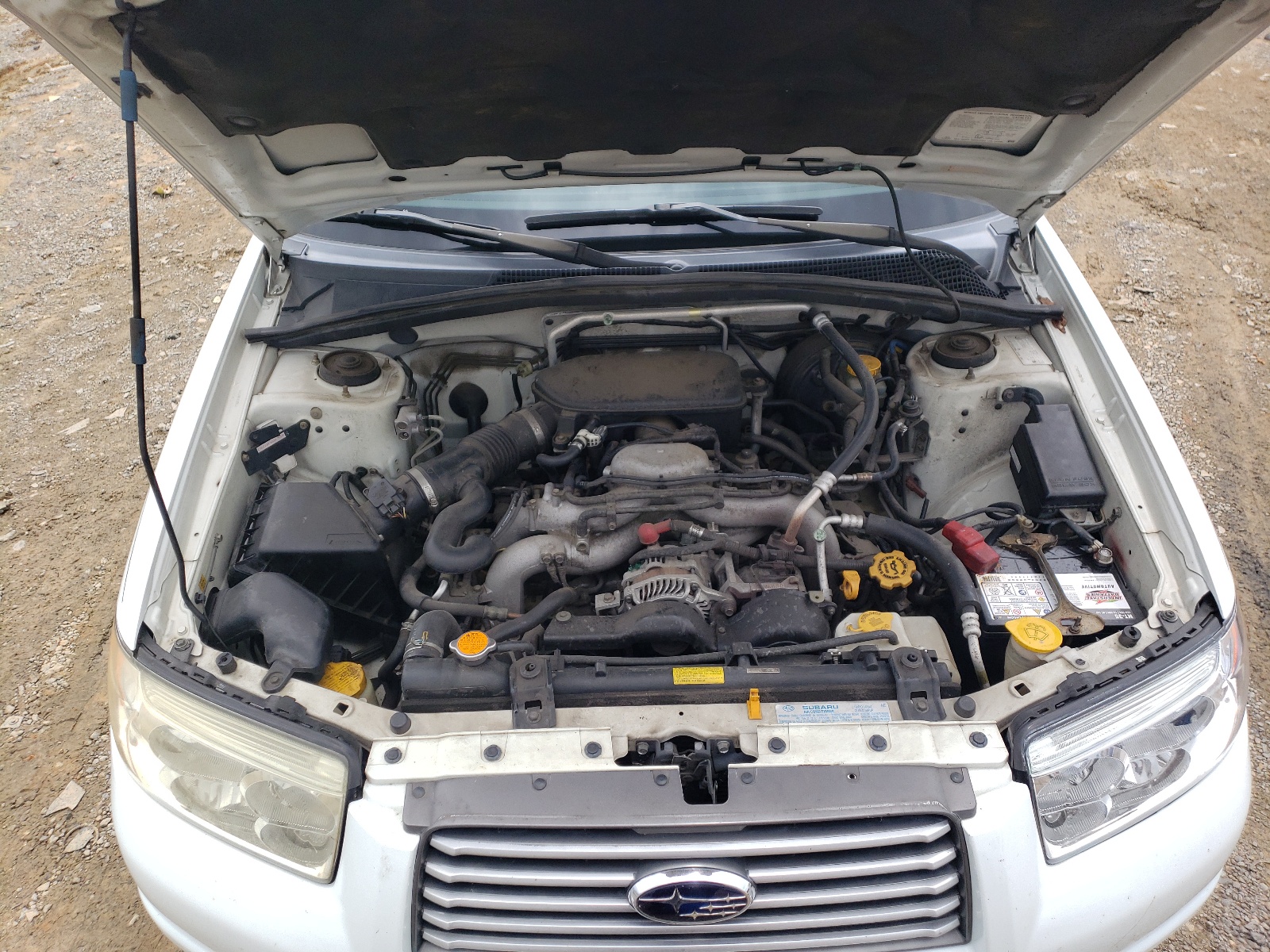 JF1SG63626H701503 2006 Subaru Forester 2.5X