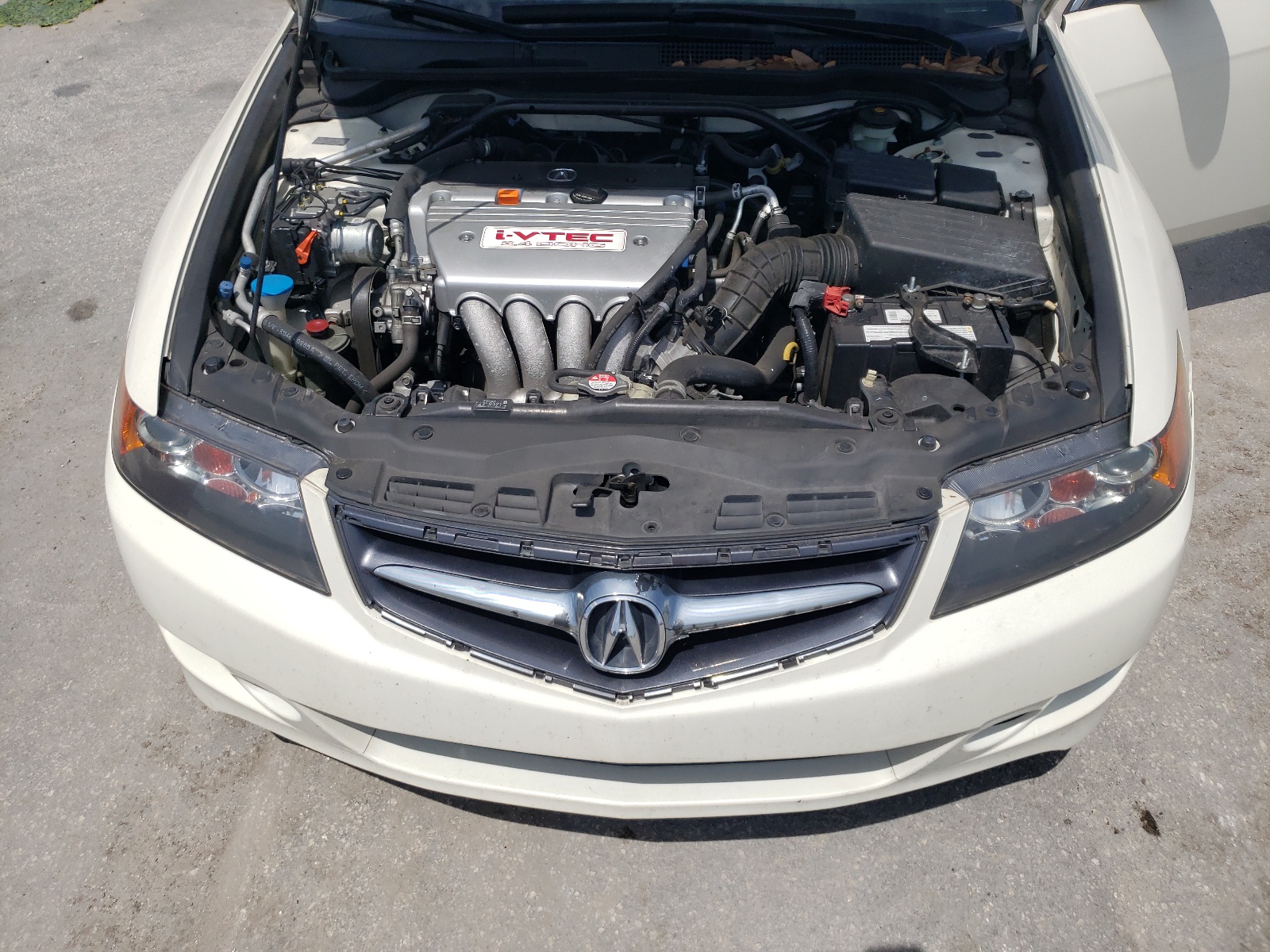 JH4CL96996C001877 2006 Acura Tsx