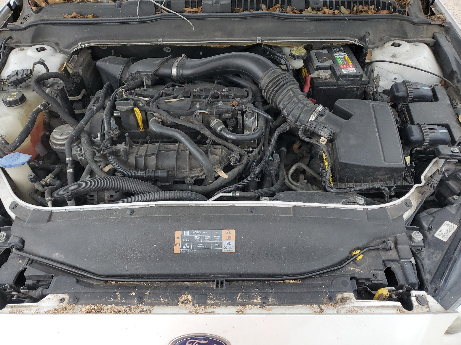 3FA6P0HR9DR232584 2013 Ford Fusion Se