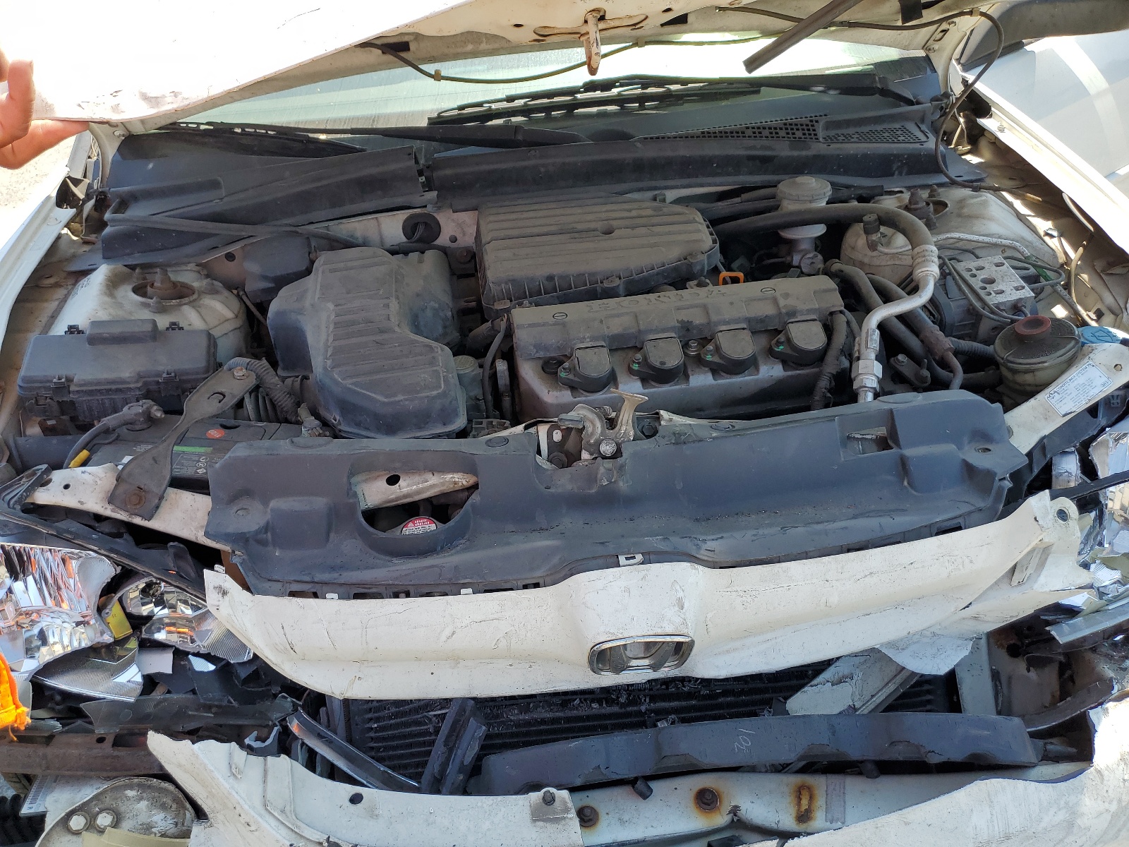 1HGEN26524L000335 2004 Honda Civic Gx