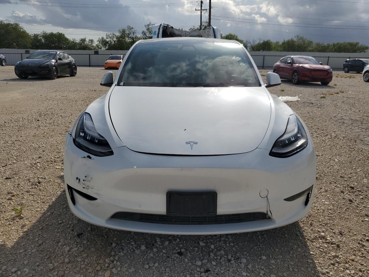 5YJYGDEE5LF032698 Tesla Model Y  5