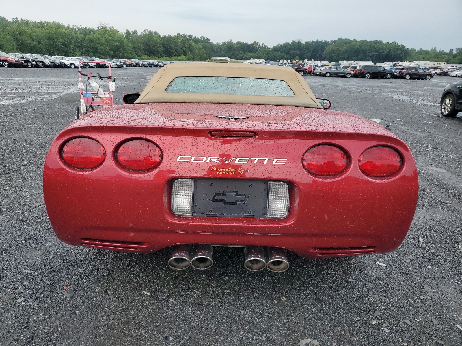 1G1YY32G515122373 2001 Chevrolet Corvette