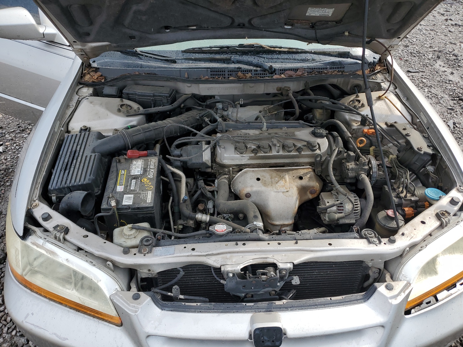 1HGCG565XXA095973 1999 Honda Accord Ex