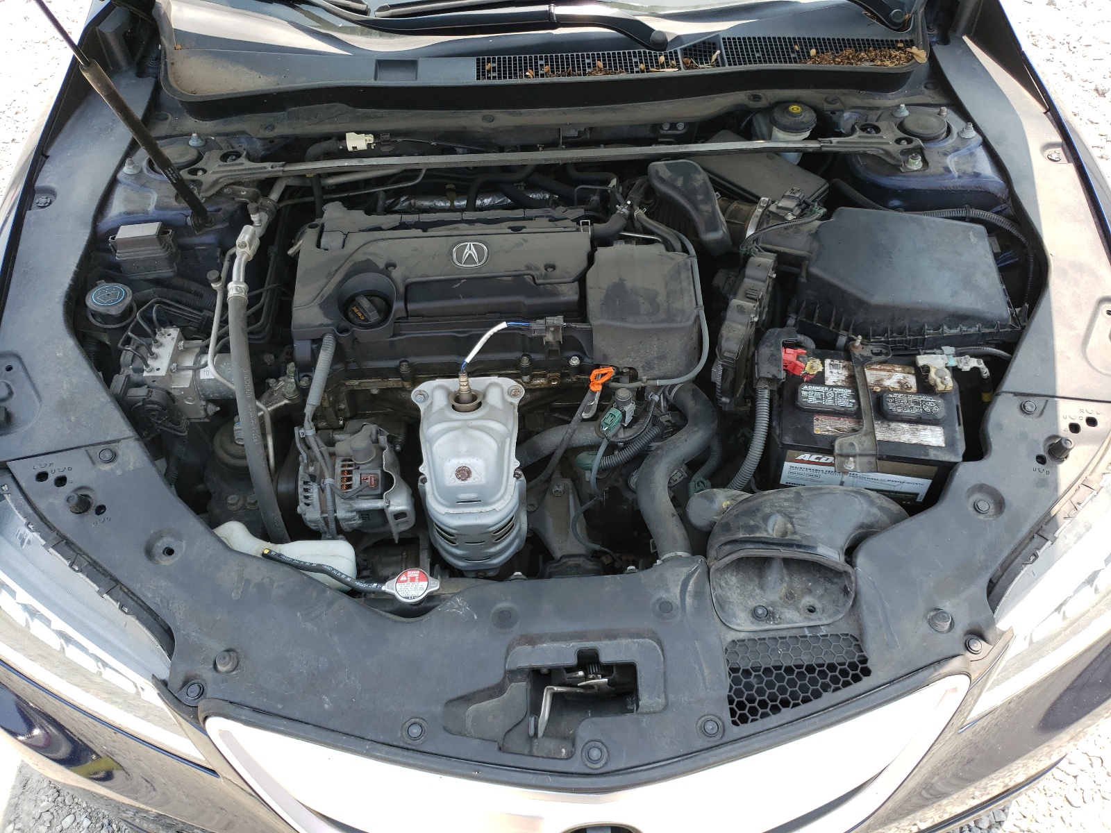 19UUB1F31HA010157 2017 Acura Tlx