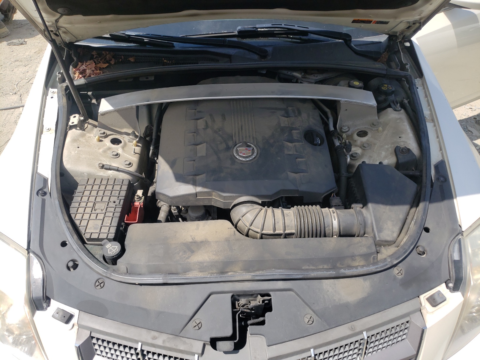 1G6DS5ED1B0126443 2011 Cadillac Cts Premium Collection