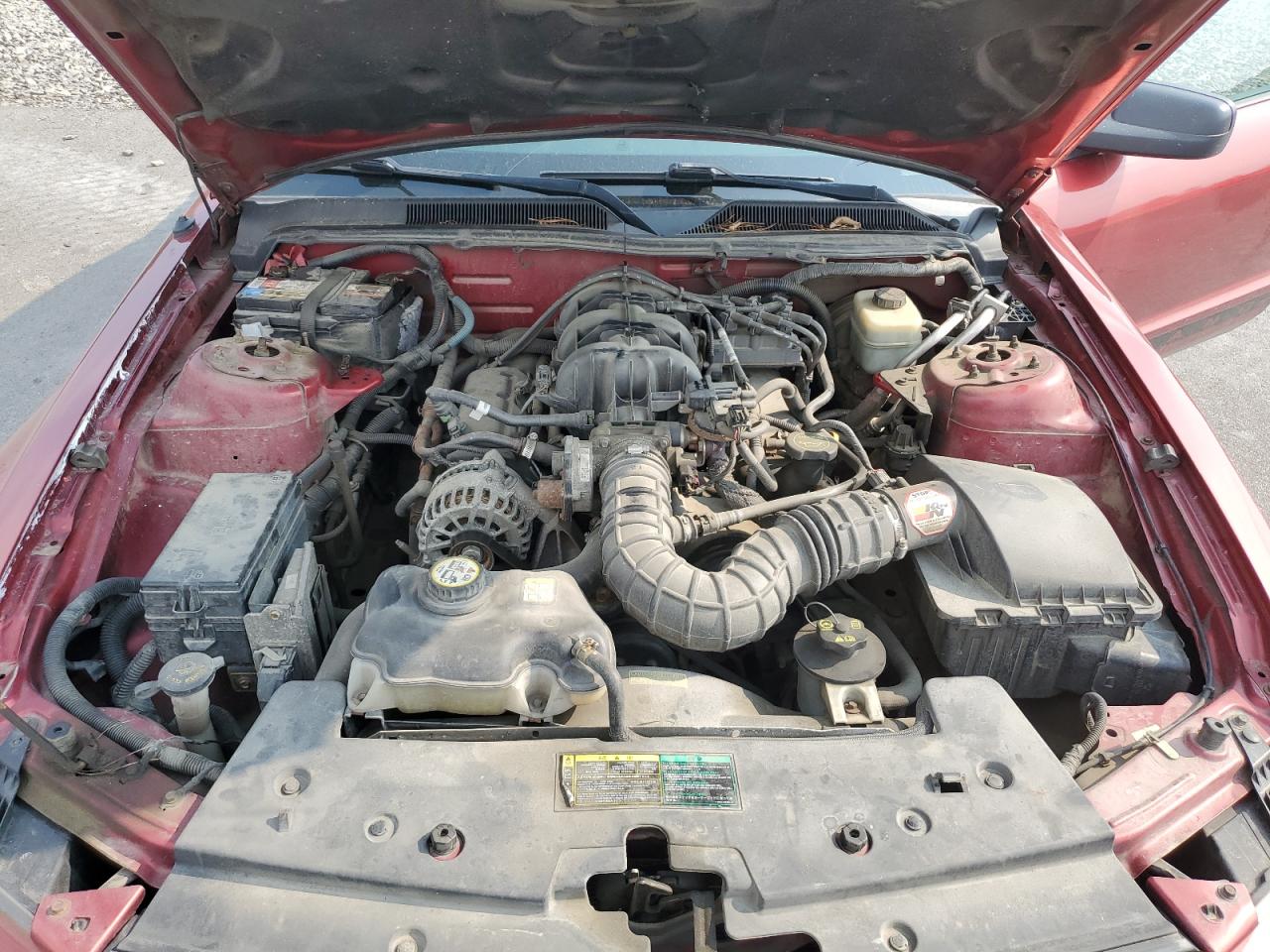 2006 Ford Mustang VIN: 1ZVFT80N965117449 Lot: 65062974