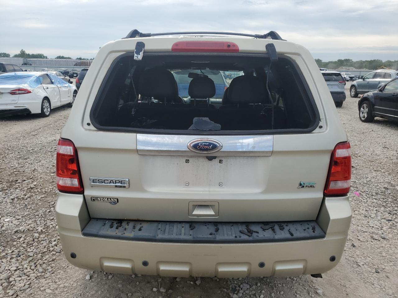 2010 Ford Escape Limited VIN: 1FMCU0EG0AKA44475 Lot: 62364764