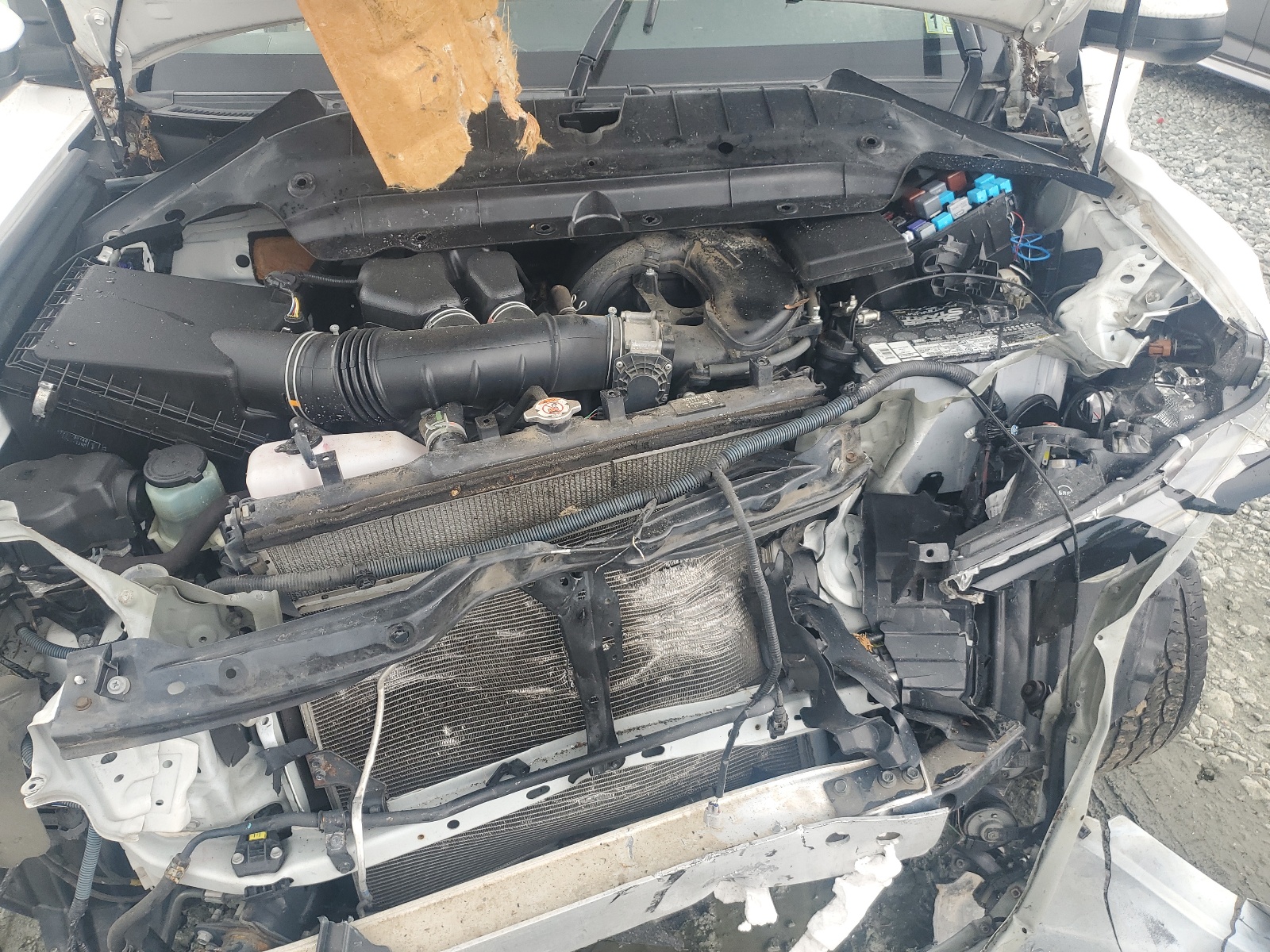 JTEBU5JR6G5385077 2016 Toyota 4Runner Sr5/Sr5 Premium