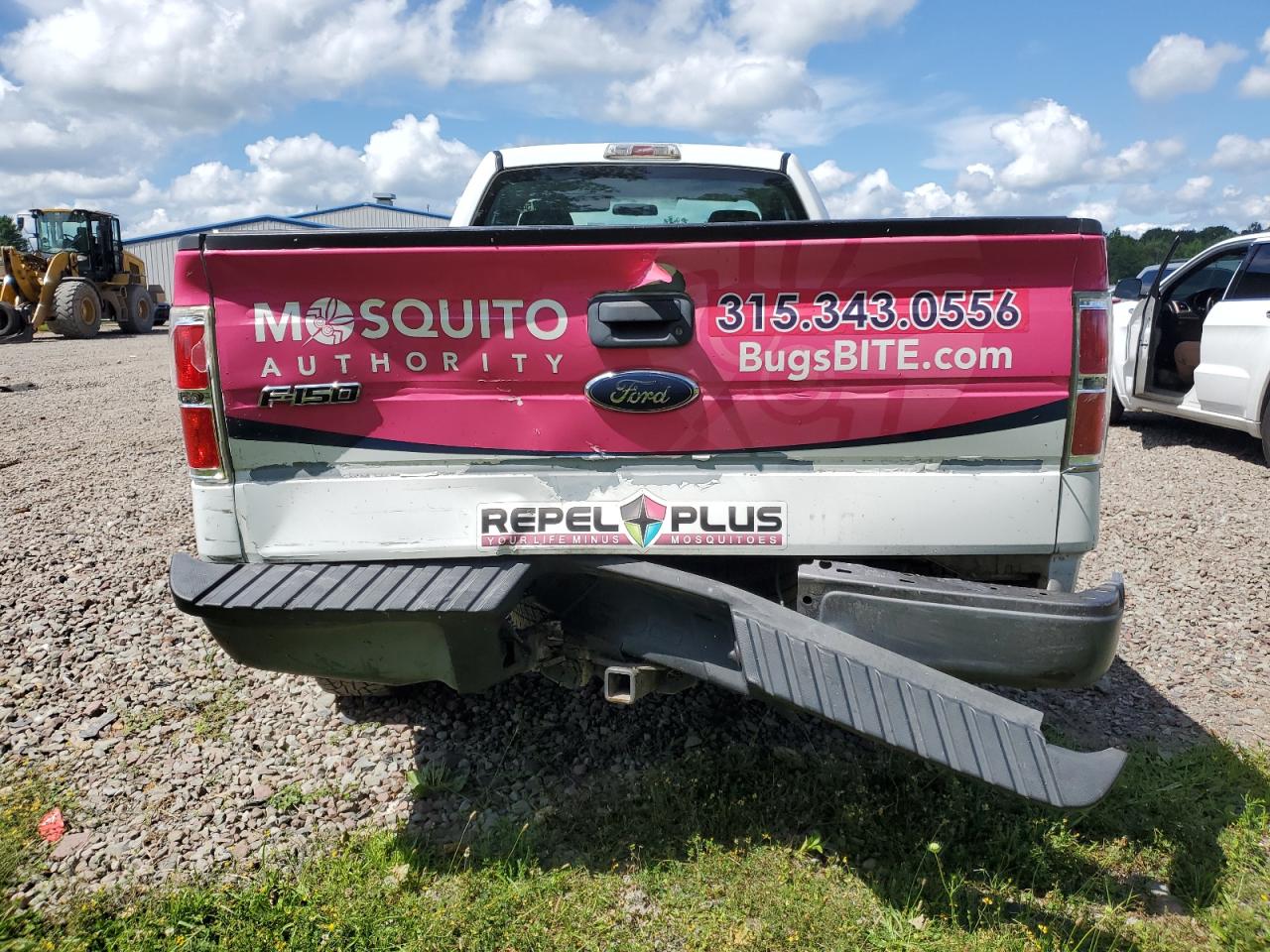 2009 Ford F150 VIN: 1FTPF12V49KB76109 Lot: 63595754