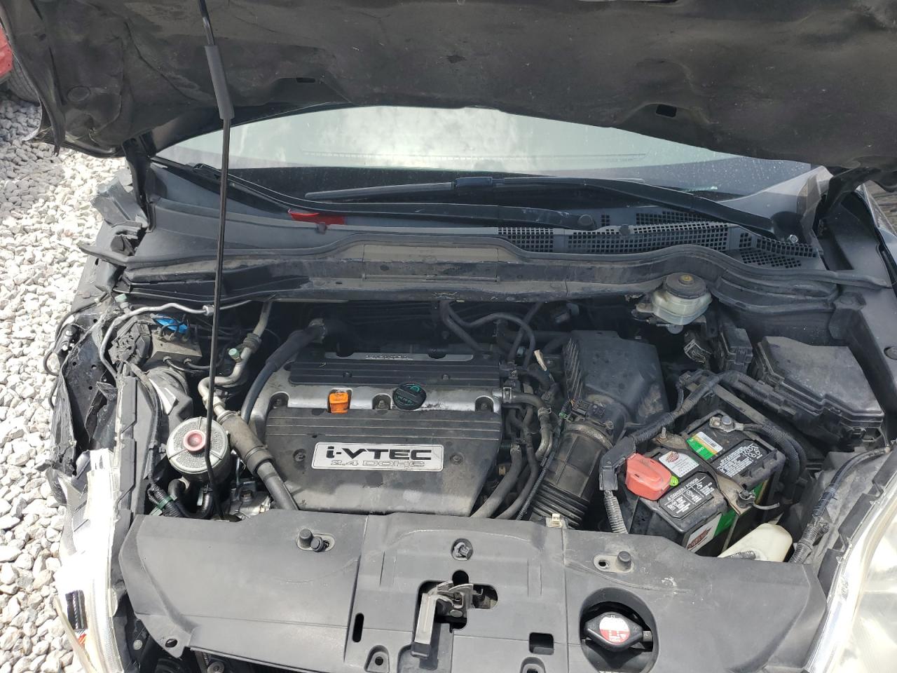 2008 Honda Cr-V Exl VIN: JHLRE48778C057925 Lot: 61064444