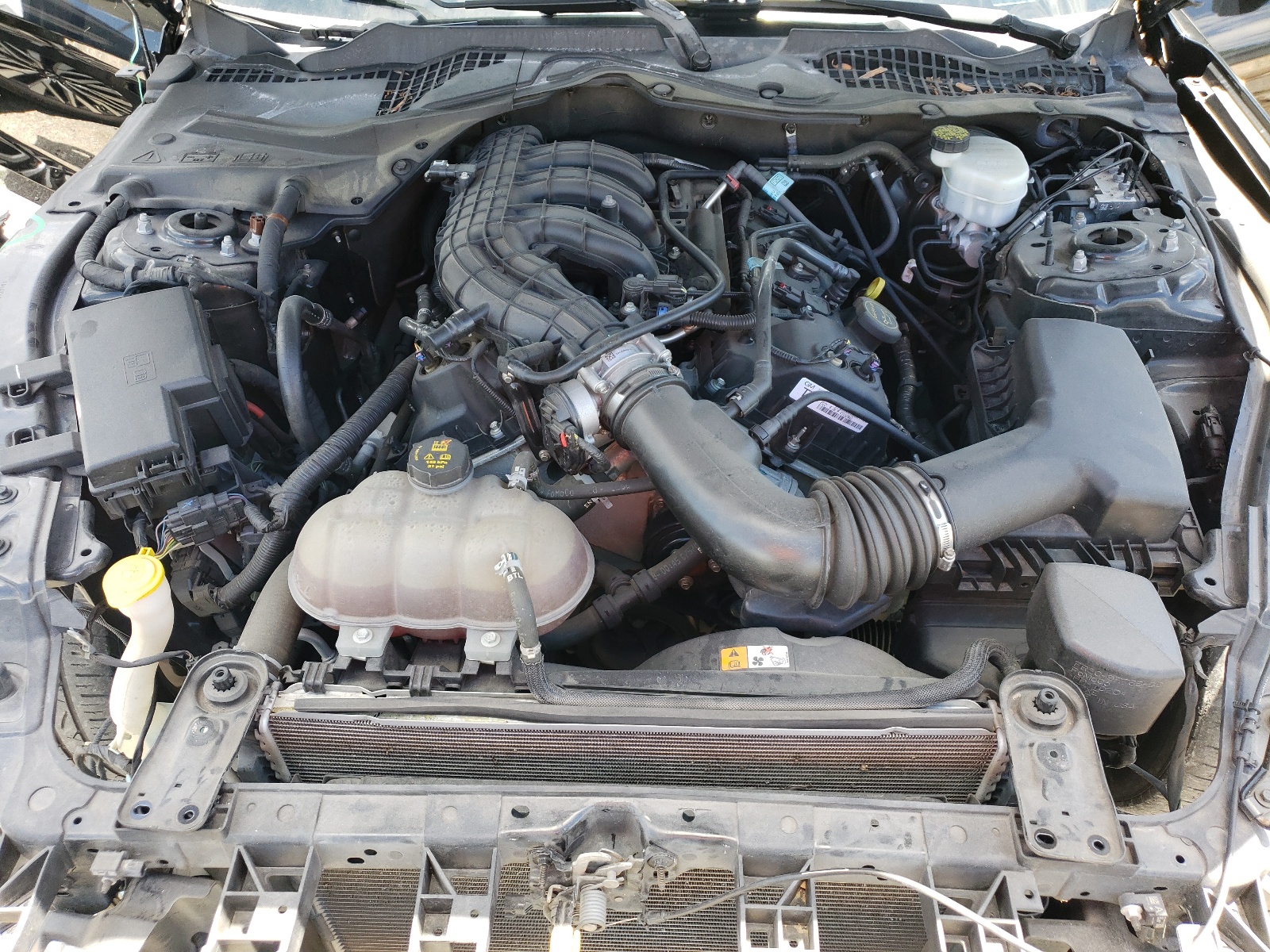 1FA6P8AM9H5208193 2017 Ford Mustang