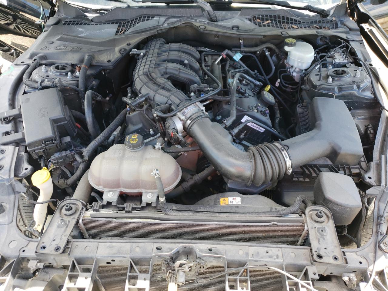 2017 Ford Mustang VIN: 1FA6P8AM9H5208193 Lot: 63756504