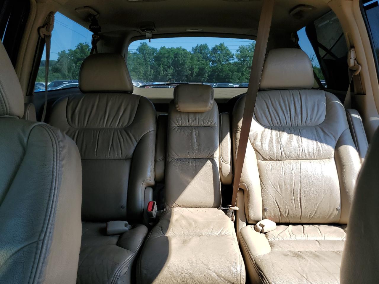 2006 Honda Odyssey Exl VIN: 5FNRL38666B444888 Lot: 63981304