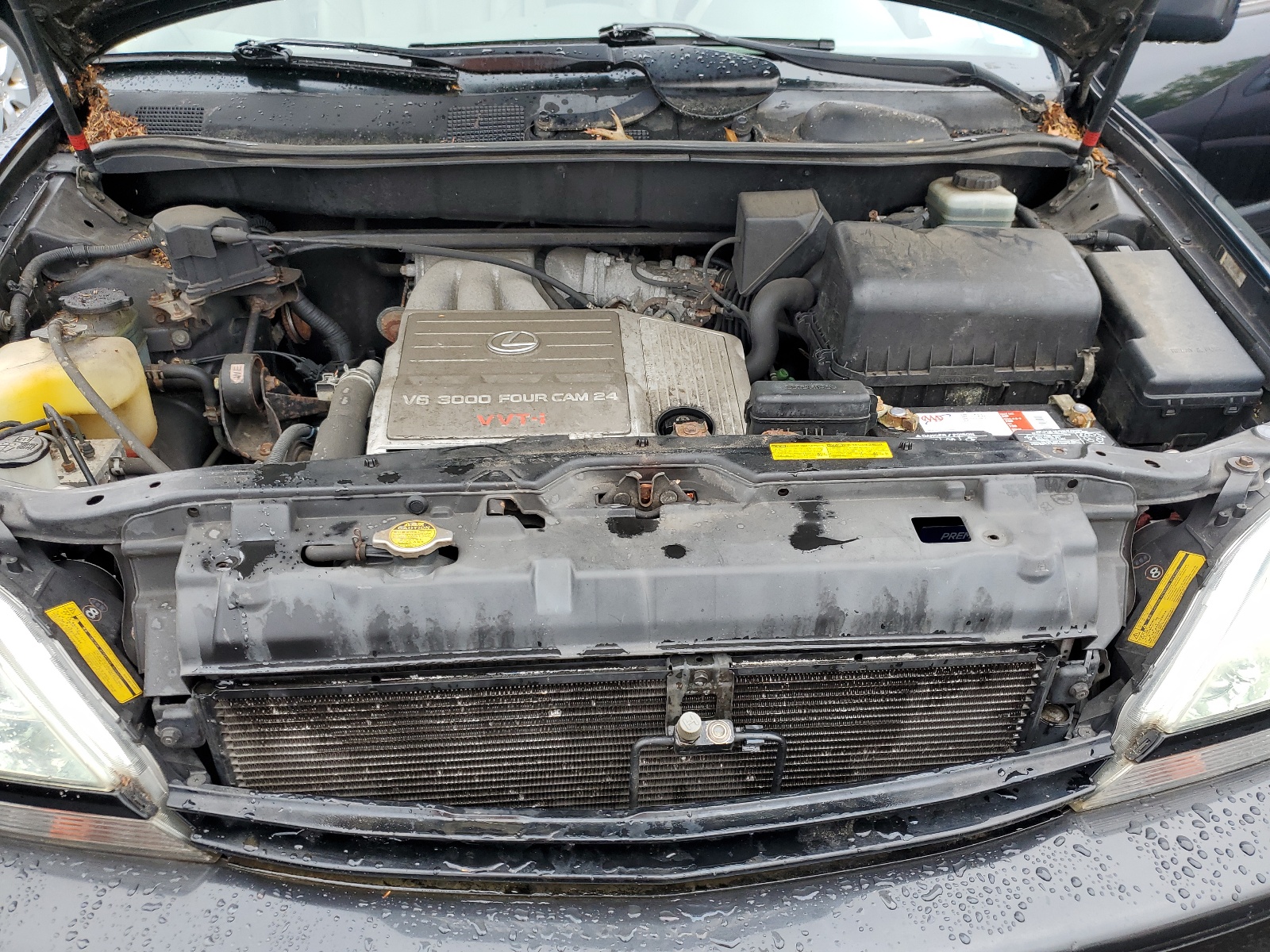 JTJHF10U020285194 2002 Lexus Rx 300