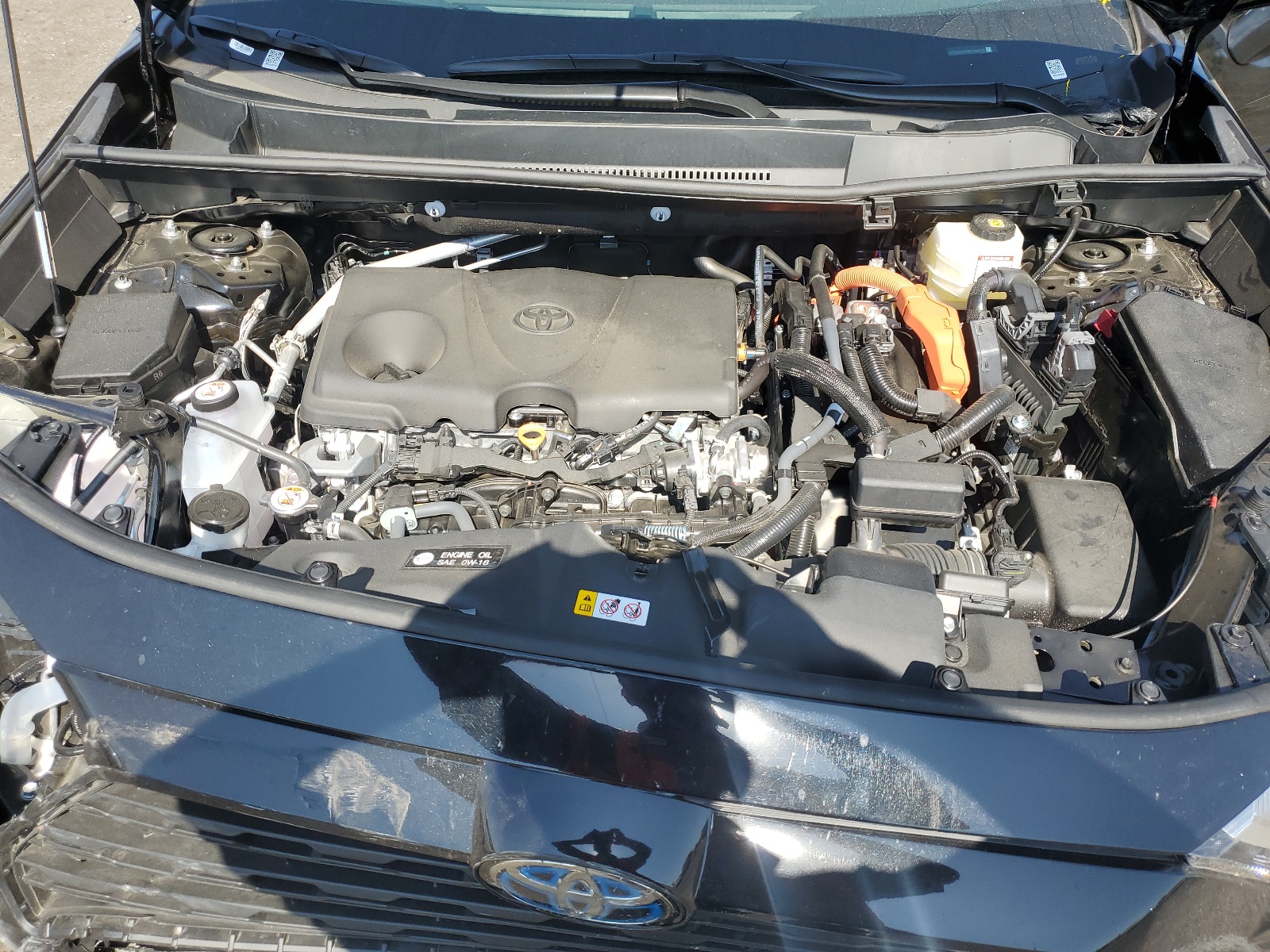 4T3LWRFV9RU144318 2024 Toyota Rav4 Le