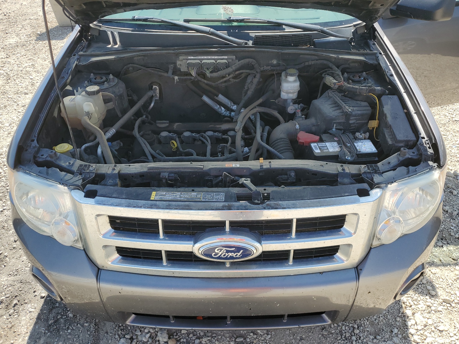 1FMCU9D74BKB55991 2011 Ford Escape Xlt