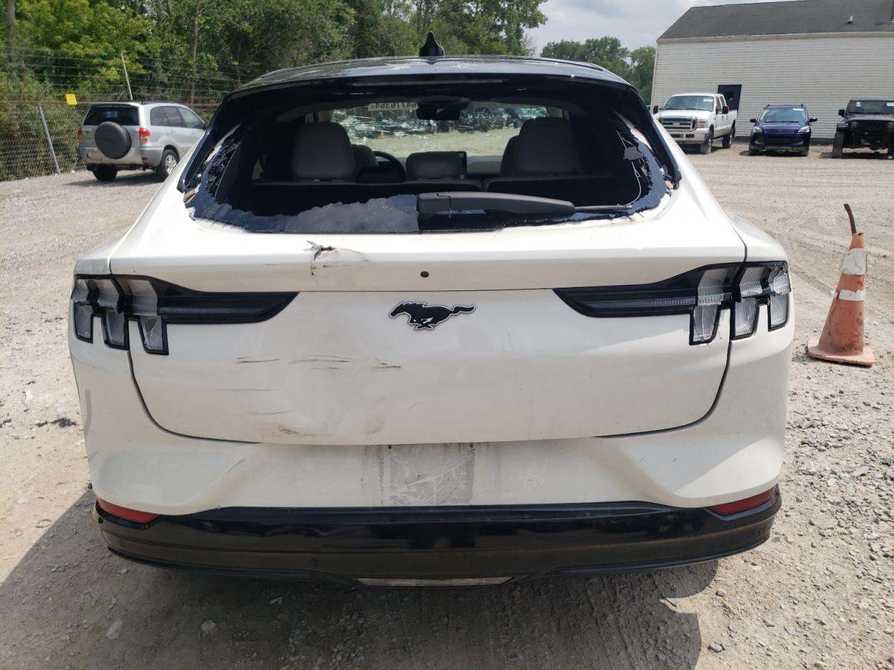 2021 Ford Mustang Mach-E Premium VIN: 3FMTK3SU7MMA45069 Lot: 64776364