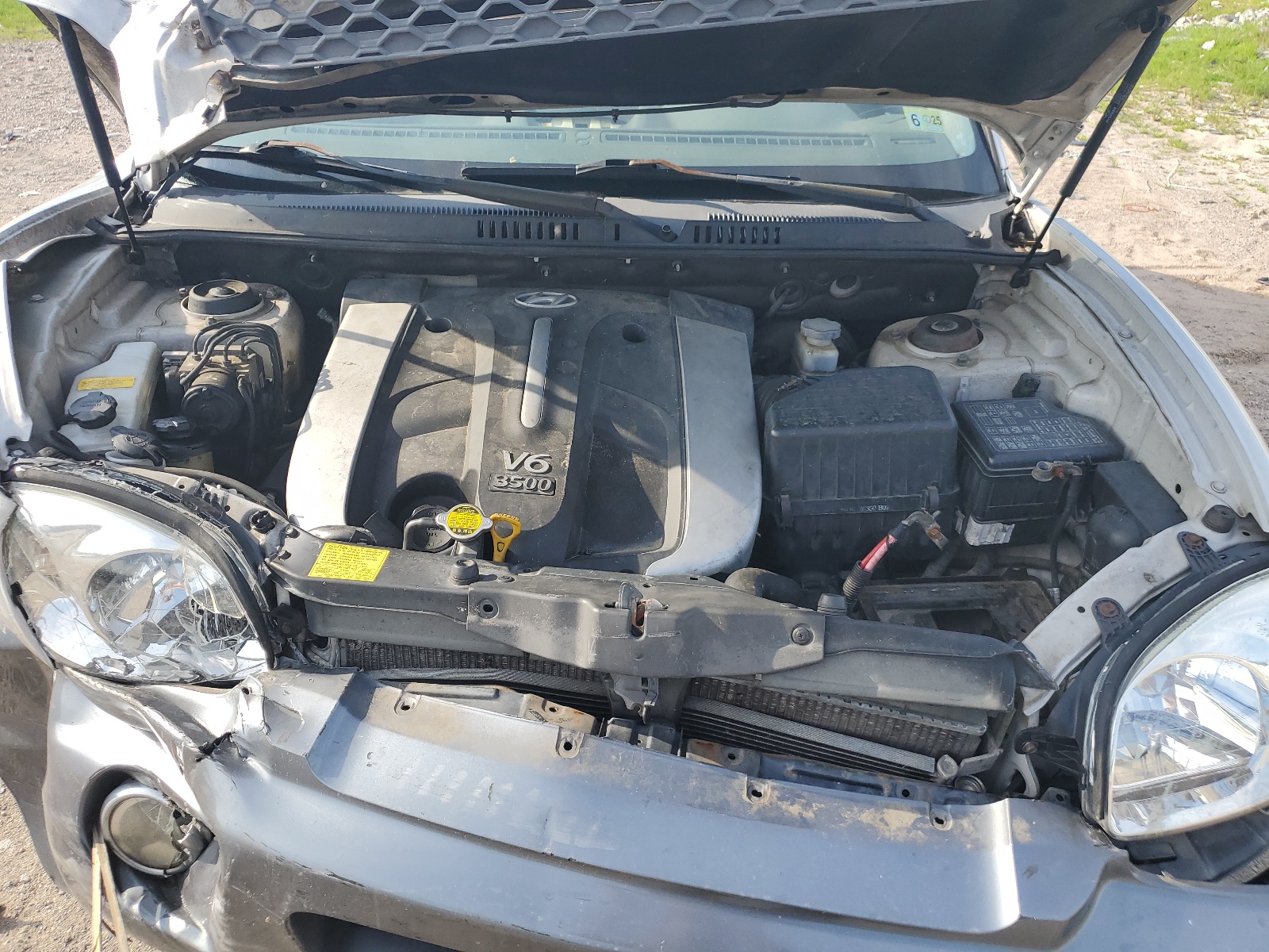 KM8SC13E54U724421 2004 Hyundai Santa Fe Gls